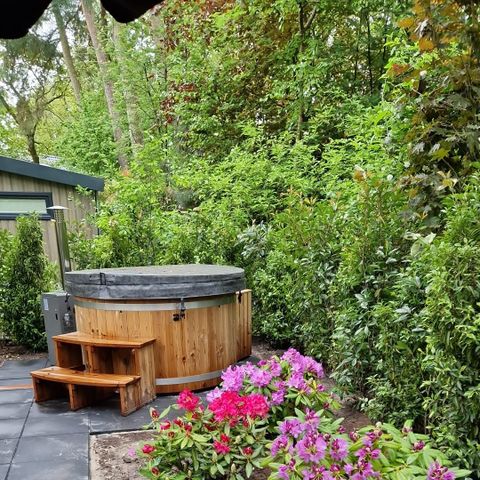 CHALET 4 personnes - Fleur de renoncule avec jacuzzi