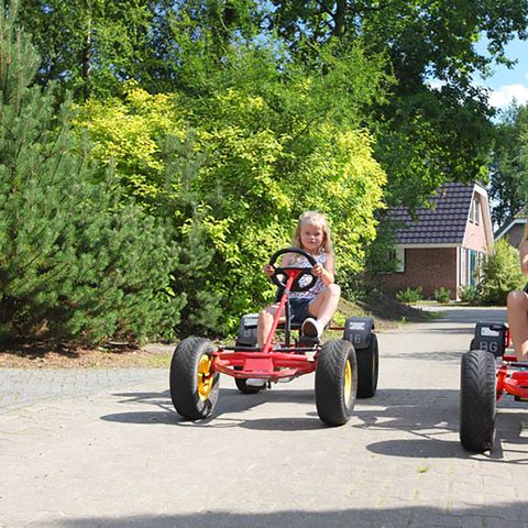 Landgoed Het Grote Zand - Camping Mitte-Drenthe - Image N°4