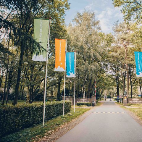 Landgoed Het Grote Zand - Camping Mitte-Drenthe - Image N°5
