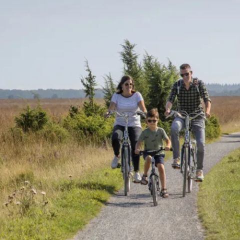 Buitenplaats de Hildenberg - Camping Ooststellingwerf - Image N°6