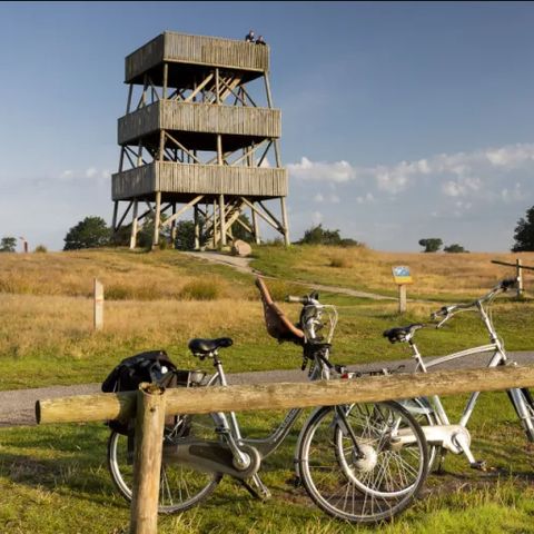 Buitenplaats de Hildenberg - Camping Ooststellingwerf - Image N°3