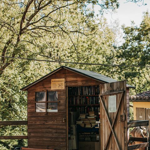 Vodatent Camping Lucherino - Camping Grosseto - Image N°4