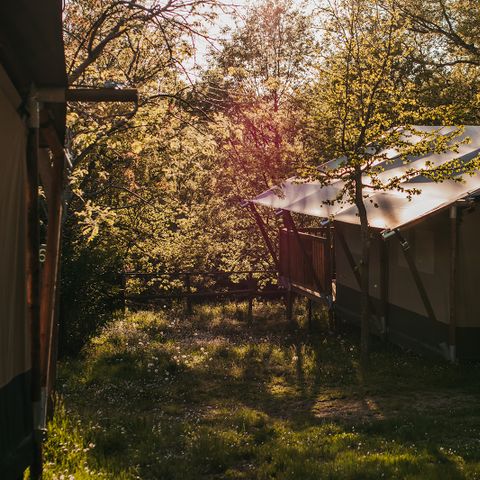 TENTE TOILE ET BOIS 6 personnes - Jardin