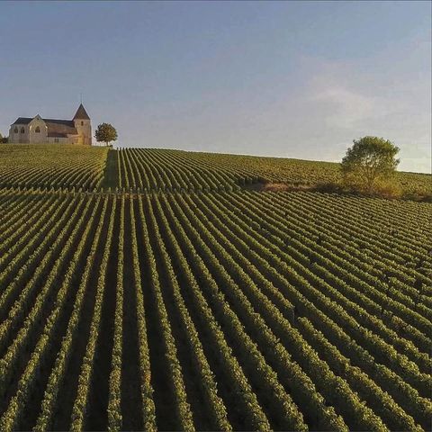 Arden Parks Signy-L'Abbaye - Camping Ardennes - Image N°6