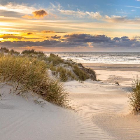 HÉBERGEMENT INSOLITE 4 personnes - Aqua Lodge