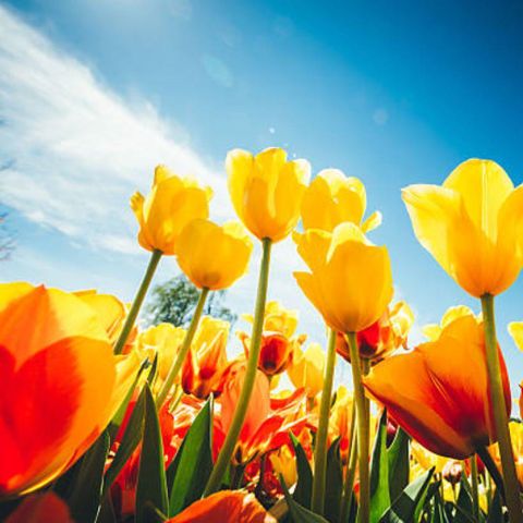 HÉBERGEMENT INSOLITE 4 personnes - Aqua Lodge
