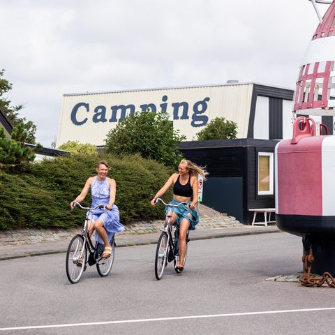 Recreatiepark de Watersnip - Camping Schagen - Image N°5