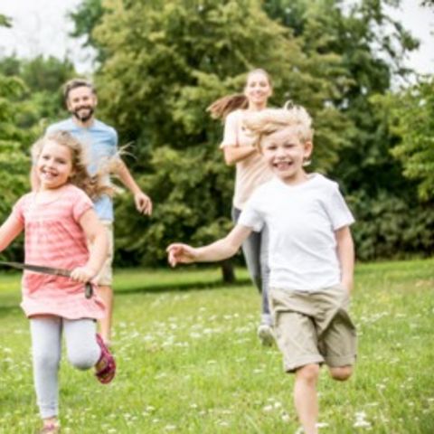 Floreal Holidays Camping Het Veen - Camping Flandre Occidentale - Image N°2