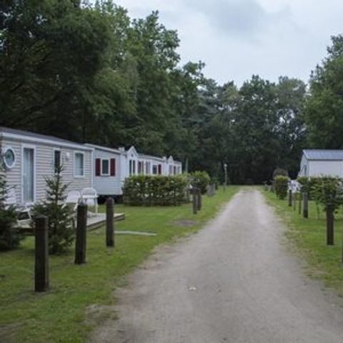 Floreal Holidays Camping Het Veen - Camping Flandre Occidentale - Image N°4