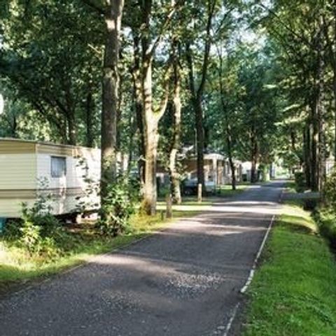 Floreal Holidays Camping Het Veen - Camping Flandre Occidentale - Image N°3