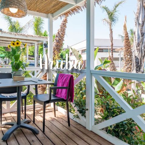 BUNGALOW 4 personnes - Bungalow Aruba bed and breakfast 4 pers