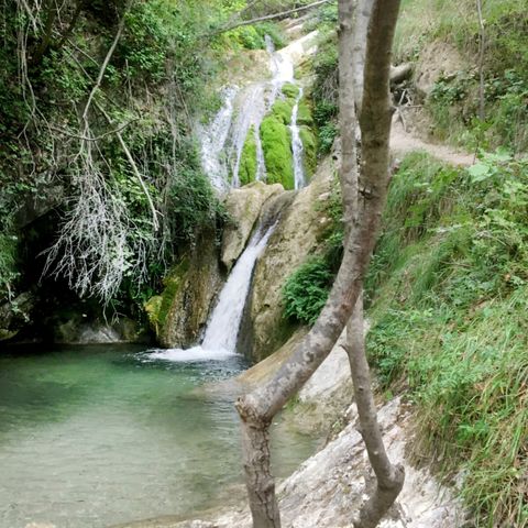 Vodatent Agriturismo Angeli Sognanti - Camping Ascoli Piceno - Image N°6