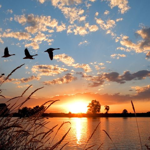 MAISON 4 personnes -  Dijkhuys Binnen