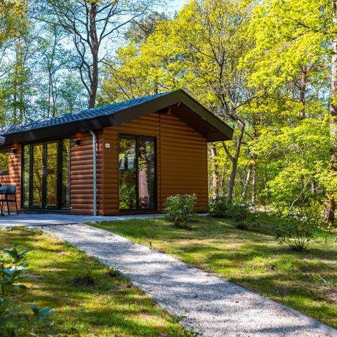 CHALET 4 personnes - Loge Sterrenborg