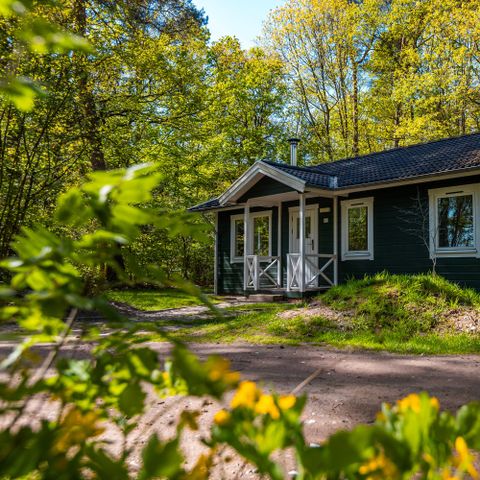 CHALET 6 personnes - Vennenborg lodge avec bain à remous