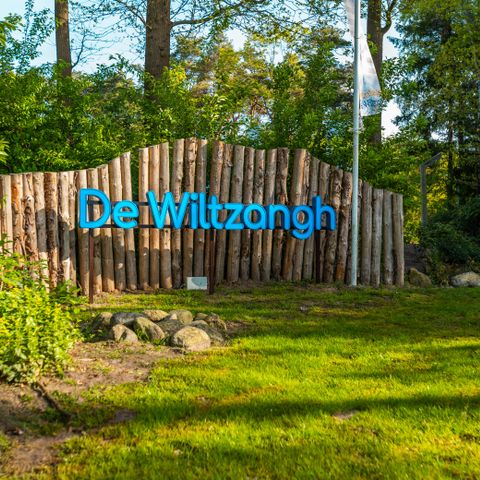 Vakantiepark De Wiltzangh - Camping De Wolden - Image N°6