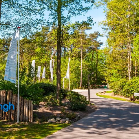 Vakantiepark De Wiltzangh - Camping De Wolden - Image N°5