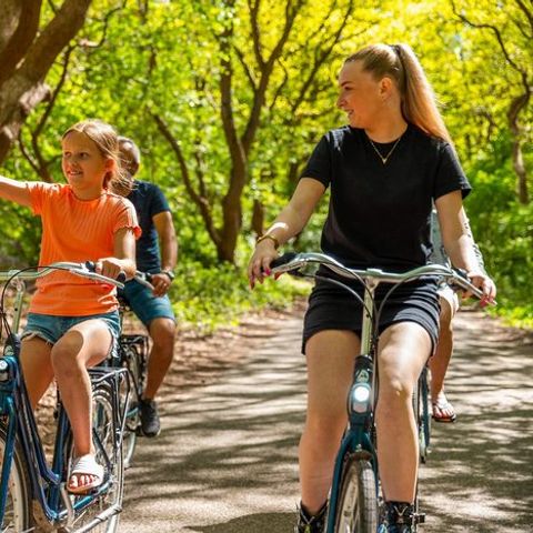 Vakantiepark De Wiltzangh - Camping De Wolden - Image N°4