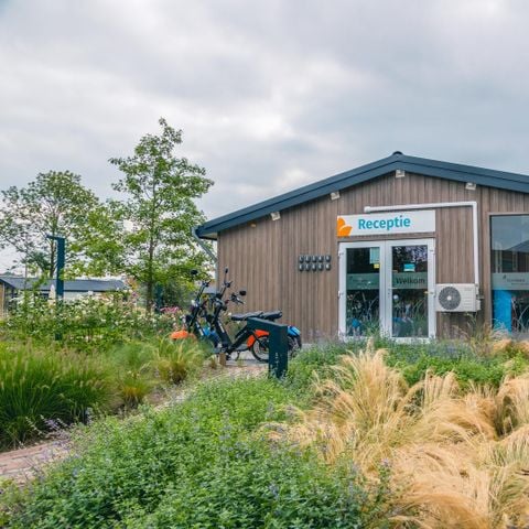 Vakantiepark Aan de Maas - Camping Maasdriel - Image N°2