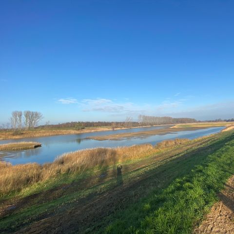 Vakantiepark De Zeeuwse Parel - Camping Tholen - Image N°2