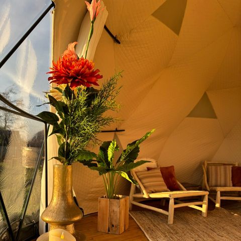 TinyParks Tiengemeten - Camping Hoeksche Waard - Image N°2