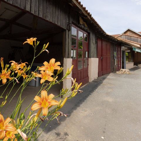 Camping Dordogne Les Deux Vallées - Camping Dordogne - Image N°6