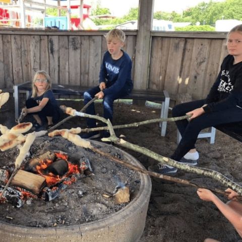 Vodatent Toftum Bjerge Camping - Camping Jutland-Central - Image N°5