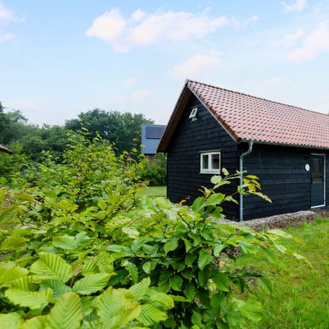 MAISON 4 personnes - Chalet forestier Luna