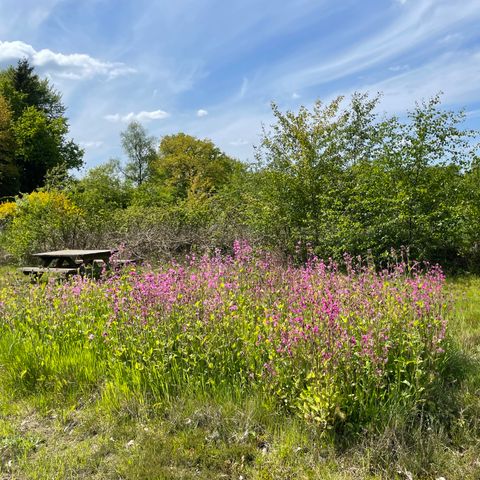 BUNGALOW 2 personnes - La bavure rouge