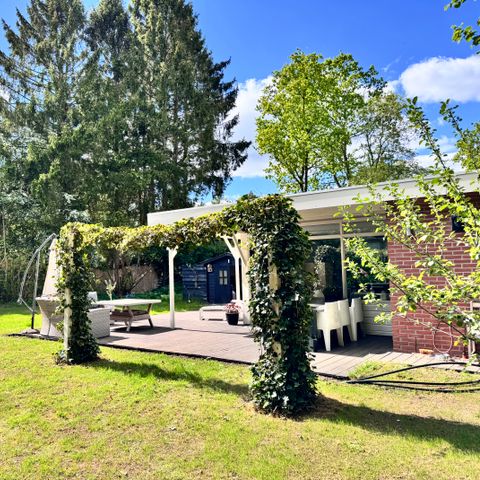 BUNGALOW 4 personnes - Arbre à papillons