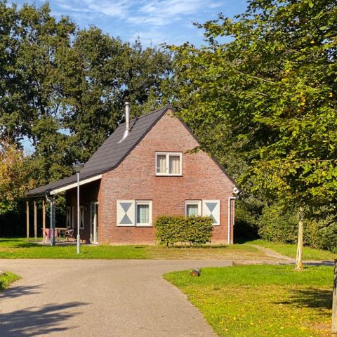 Summio Bosparc de Hoevenaer - Camping Halderberge - Image N°5