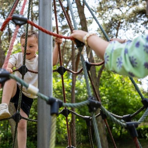 Camping Roland - Camping Bergen - Image N°3