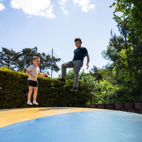 Camping Roland - Camping Bergen - Image N°4