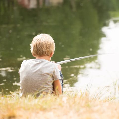 Europe Tents Domaine des Messires - Camping Vosges - Image N°6