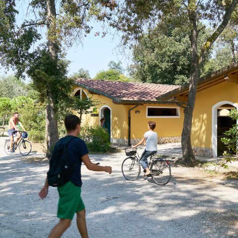 Europe Tents Campeggio Paradiso - Camping Lucques - Image N°3