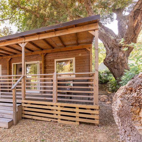 BUNGALOW 4 personnes - Lodge Superior Family