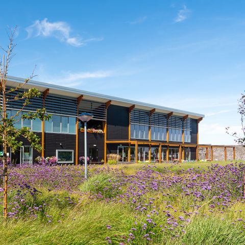 Vakantiepark de Boomgaard - Camping Veere - Image N°2