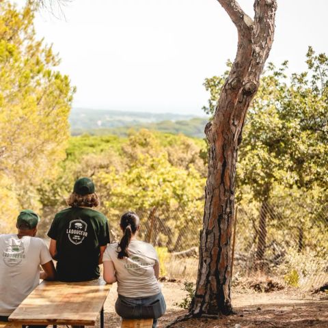 Camping Ladouceur - Ramatuelle Saint Tropez - Camping Var - Image N°4