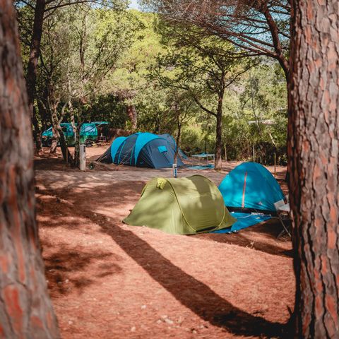Camping Ladouceur - Ramatuelle Saint Tropez - Camping Var - Image N°5