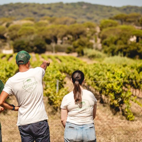 Camping Ladouceur - Ramatuelle Saint Tropez - Camping Var - Image N°2