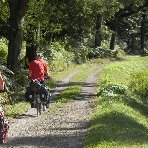 VVF Camping de Pontivy - Camping Morbihan - Image N°5