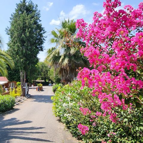 Camping City Nature - Camping Pyrénées-Atlantiques - Image N°2