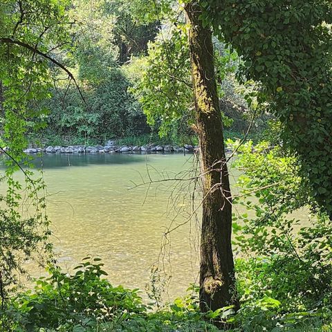 BUNGALOW 4 personnes - Mobil-home 2 chambres 2 salles de bain - Lescar MH D019