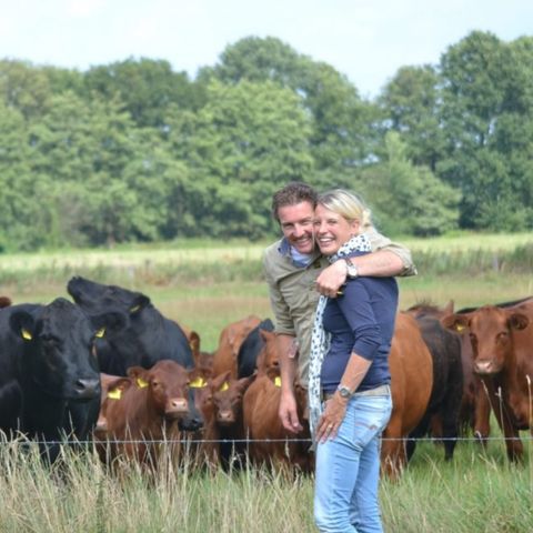 Erve Woolderink - Camping Wierden - Image N°5