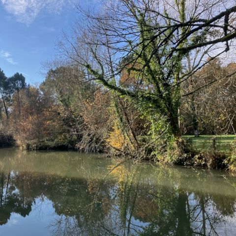 Camping Domaine du Lac - Camping Charente-Maritime - Image N°6