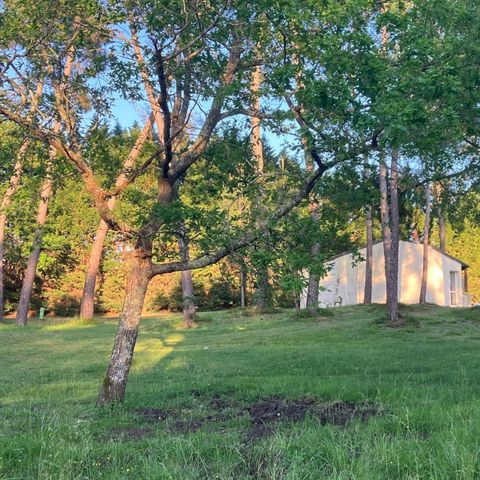 Camping Domaine du Lac - Camping Charente-Maritime - Image N°5