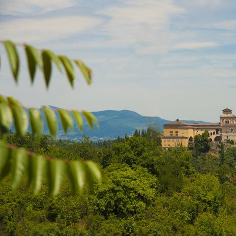 hu Firenze Certosa camping - Camping Florence - Image N°5