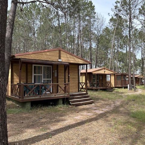 Por el Parque De Campismo São Miguel - Camping Alentejo - Portugal - Image N°5