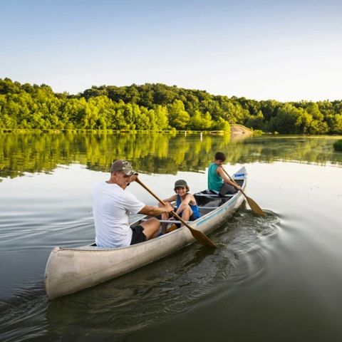 Dormio Hotel Der Seehof - Camping Rhénanie du Nord-Westphalie - Image N°3