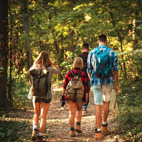 Dormio Hotel Der Seehof - Camping Rhénanie du Nord-Westphalie - Image N°5